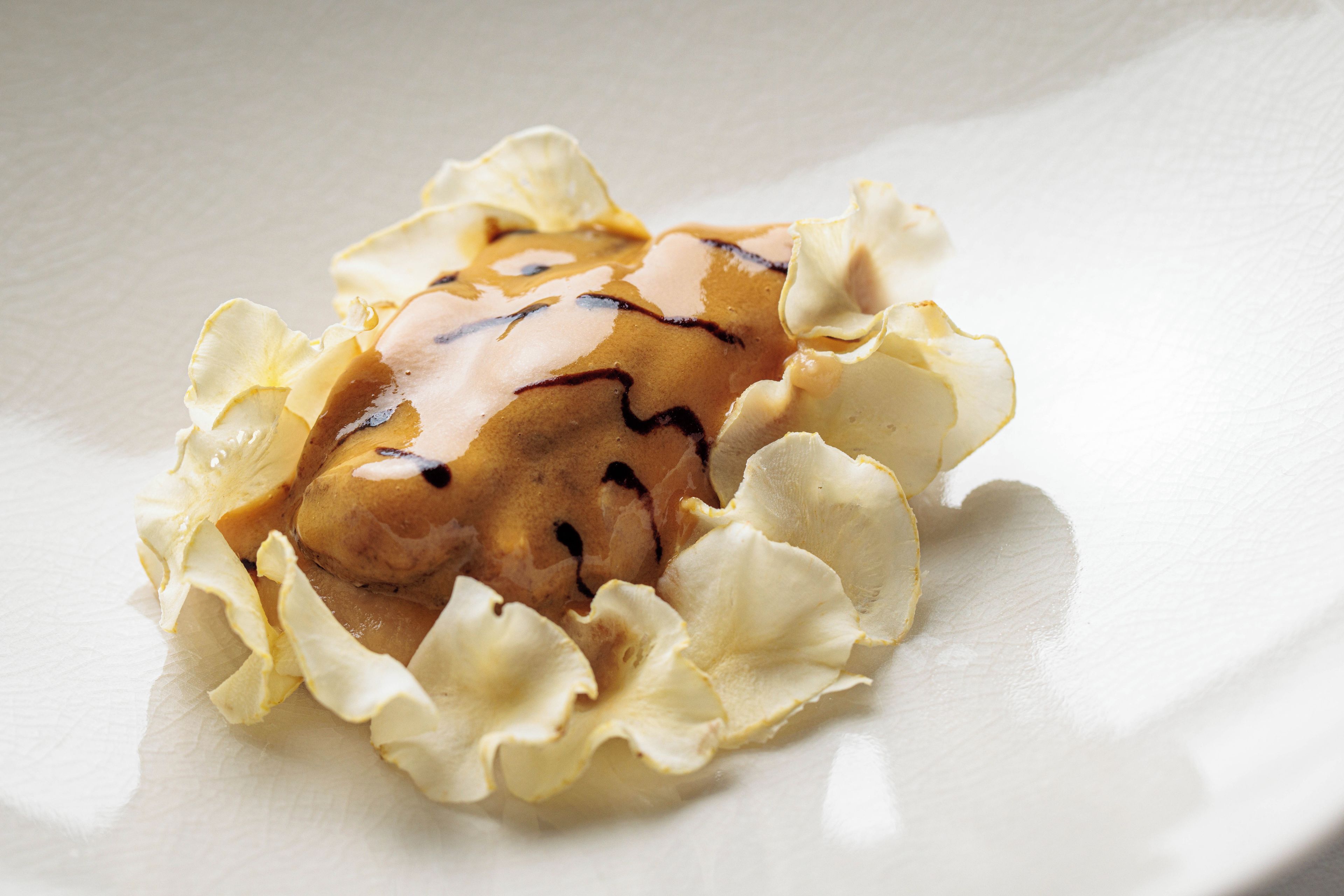 A dessert on a white plate with a glossy sauce and a caramelized top.