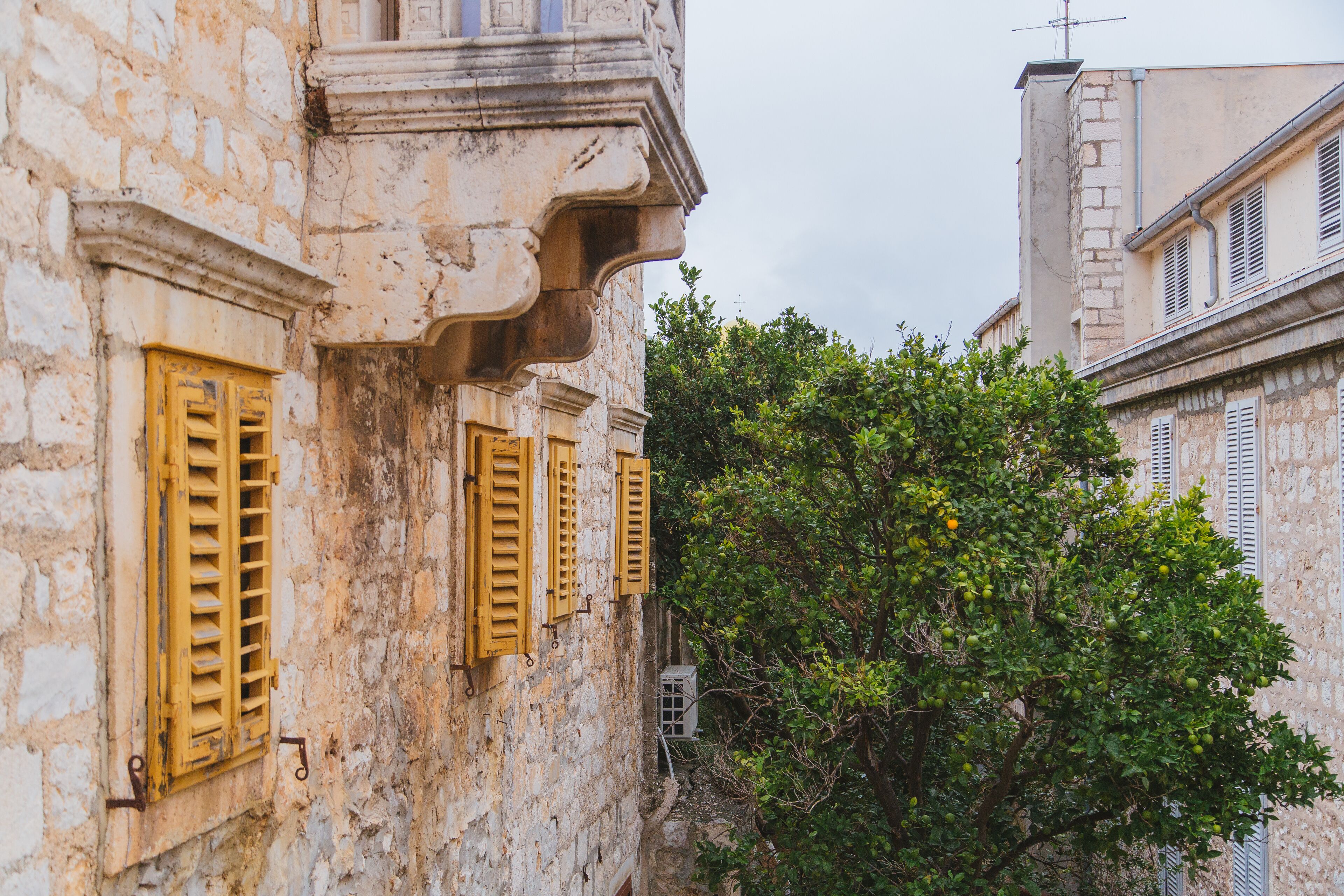 suite, city view | city view