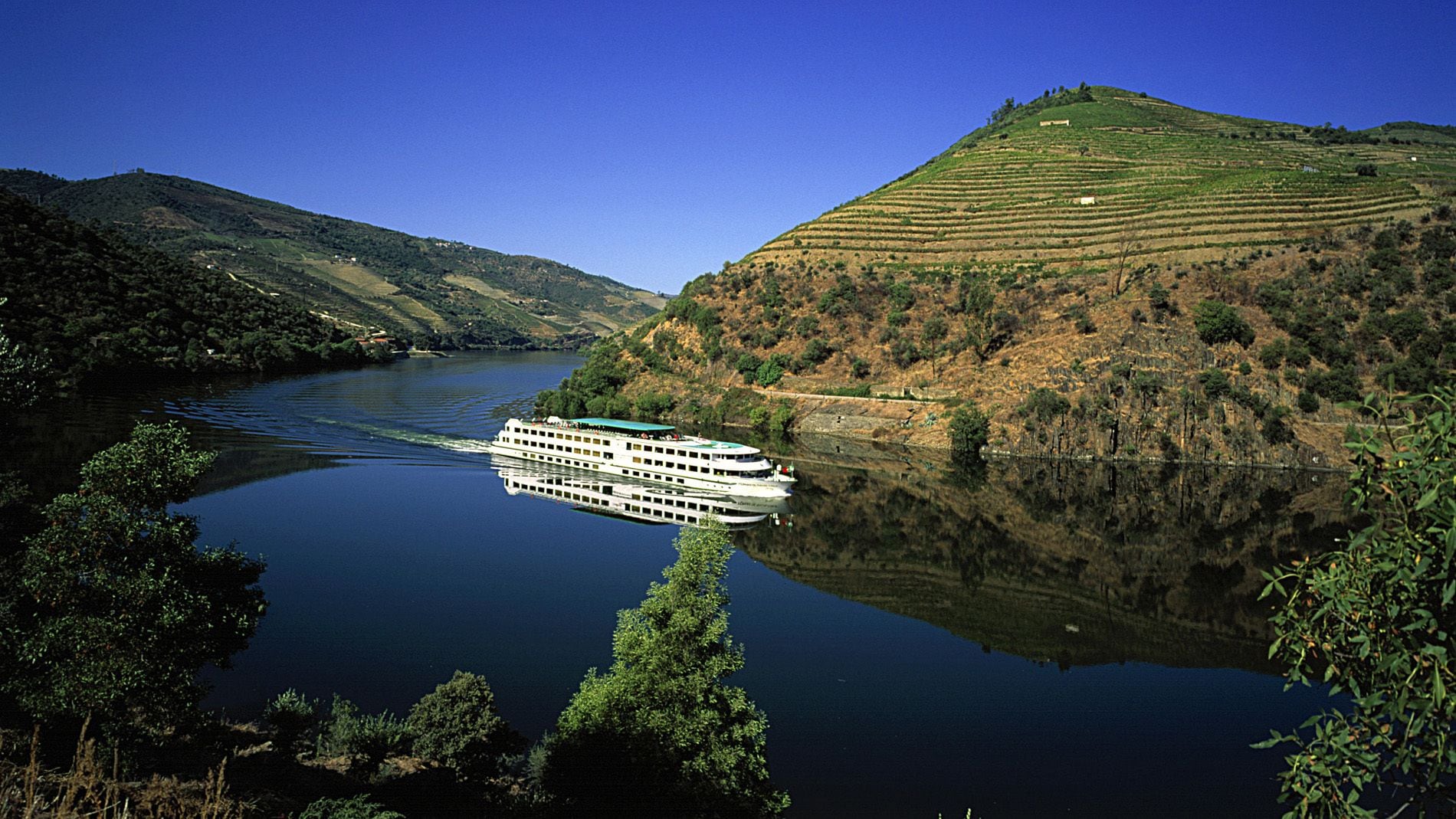 Photo - The Rex Hotel Porto - Mansion House - Private Parking