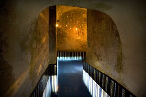 Un couloir voûté, faiblement éclairé, doté d’un sol réfléchissant et de murs ornés de motifs.