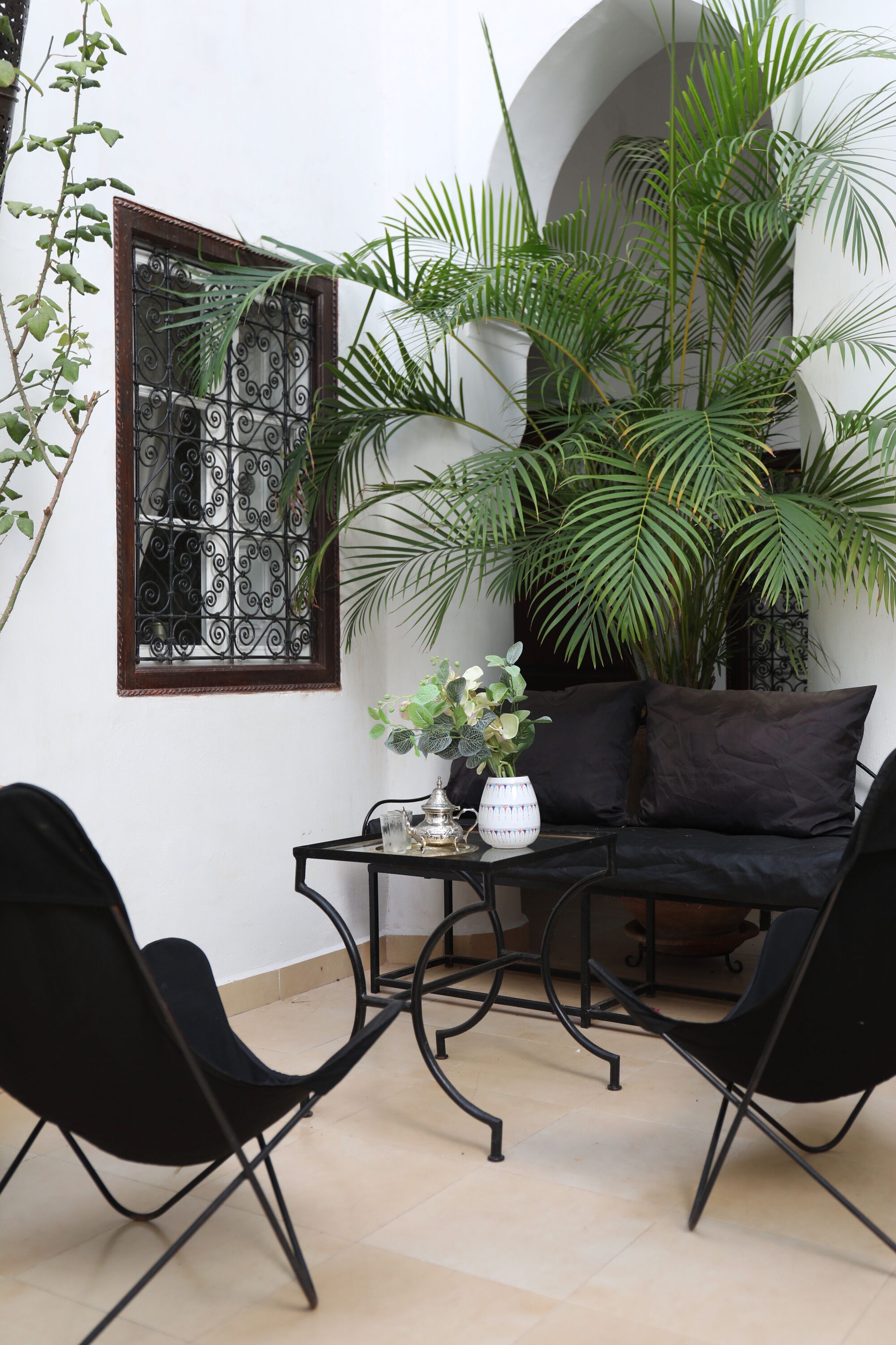 A room with a black sofa, two black chairs, a small table with a vase, and a large potted plant.