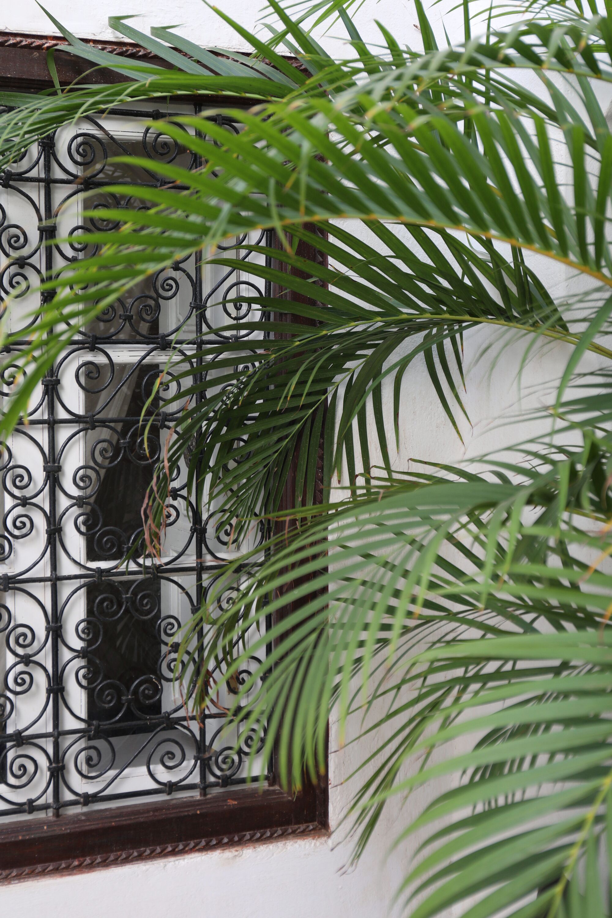 Photo - Riad Noor Charana