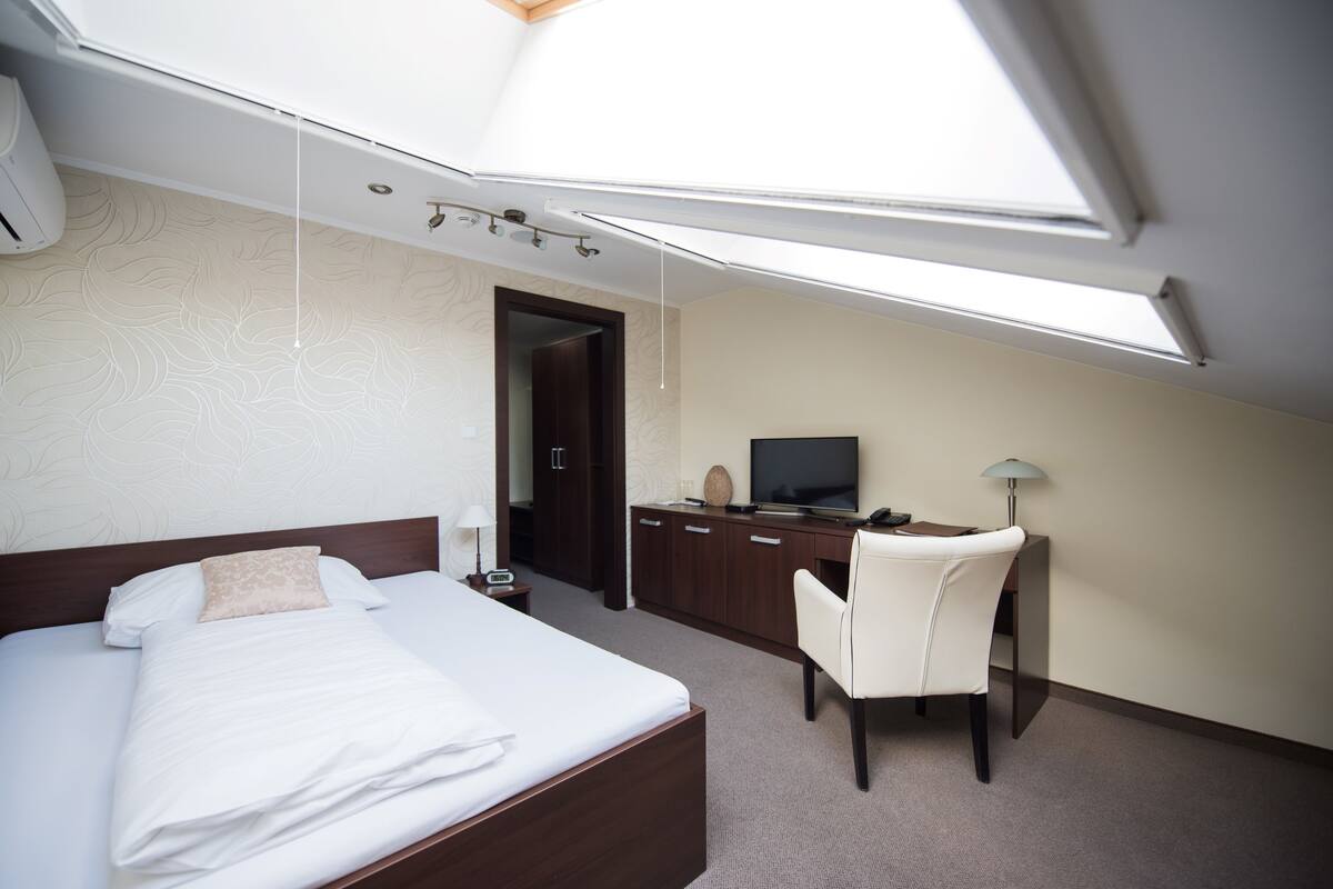 A hotel room with a skylight, a bed, a desk, a chair, and a television.
