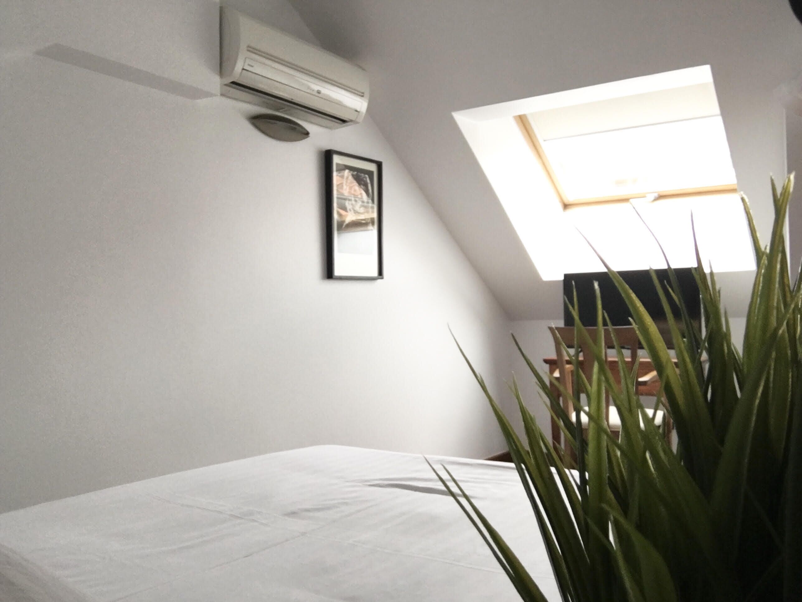 A bedroom with a skylight, a bed, a framed picture, and a potted plant.