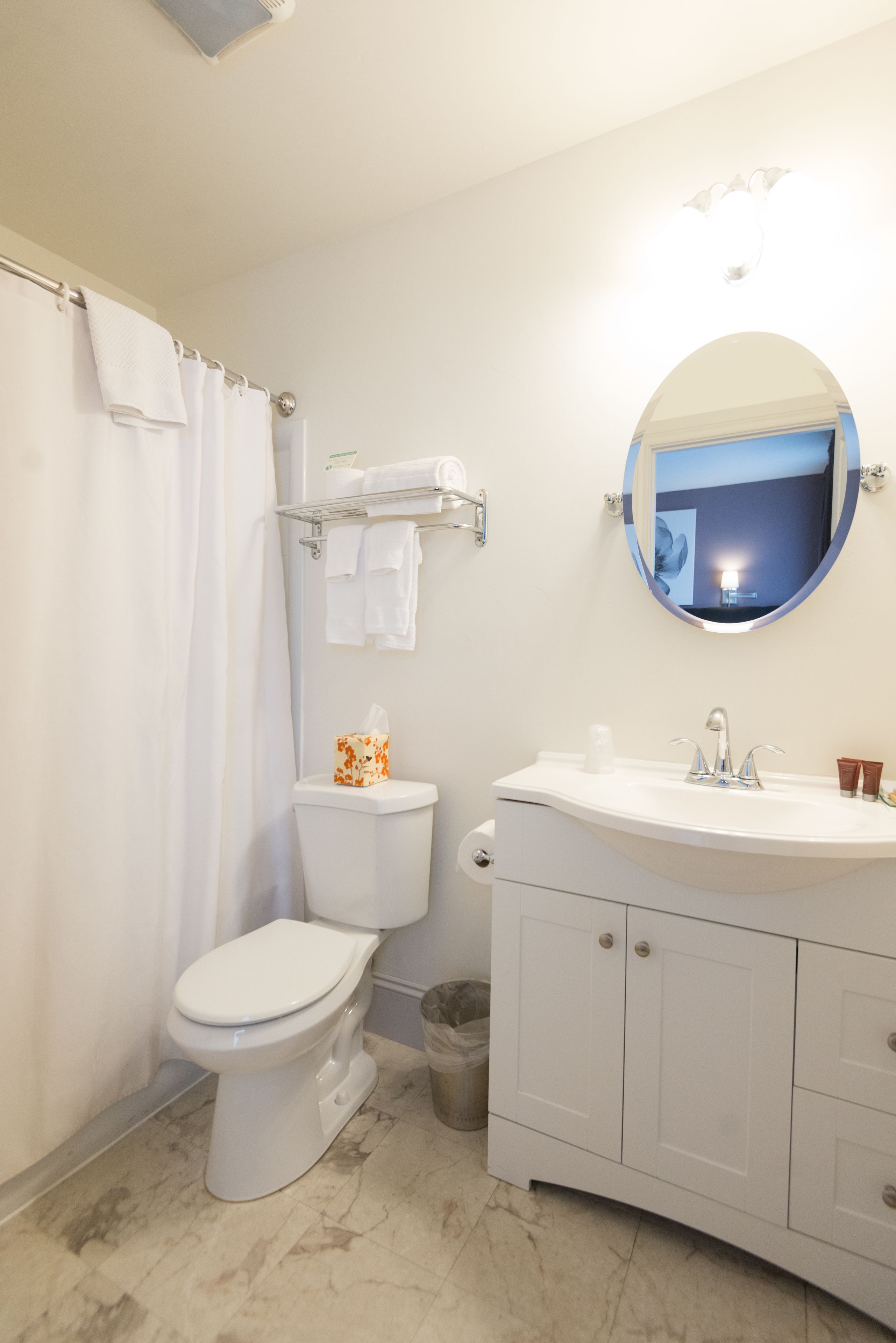 A bathroom with a toilet, sink, mirror, and shower curtain.