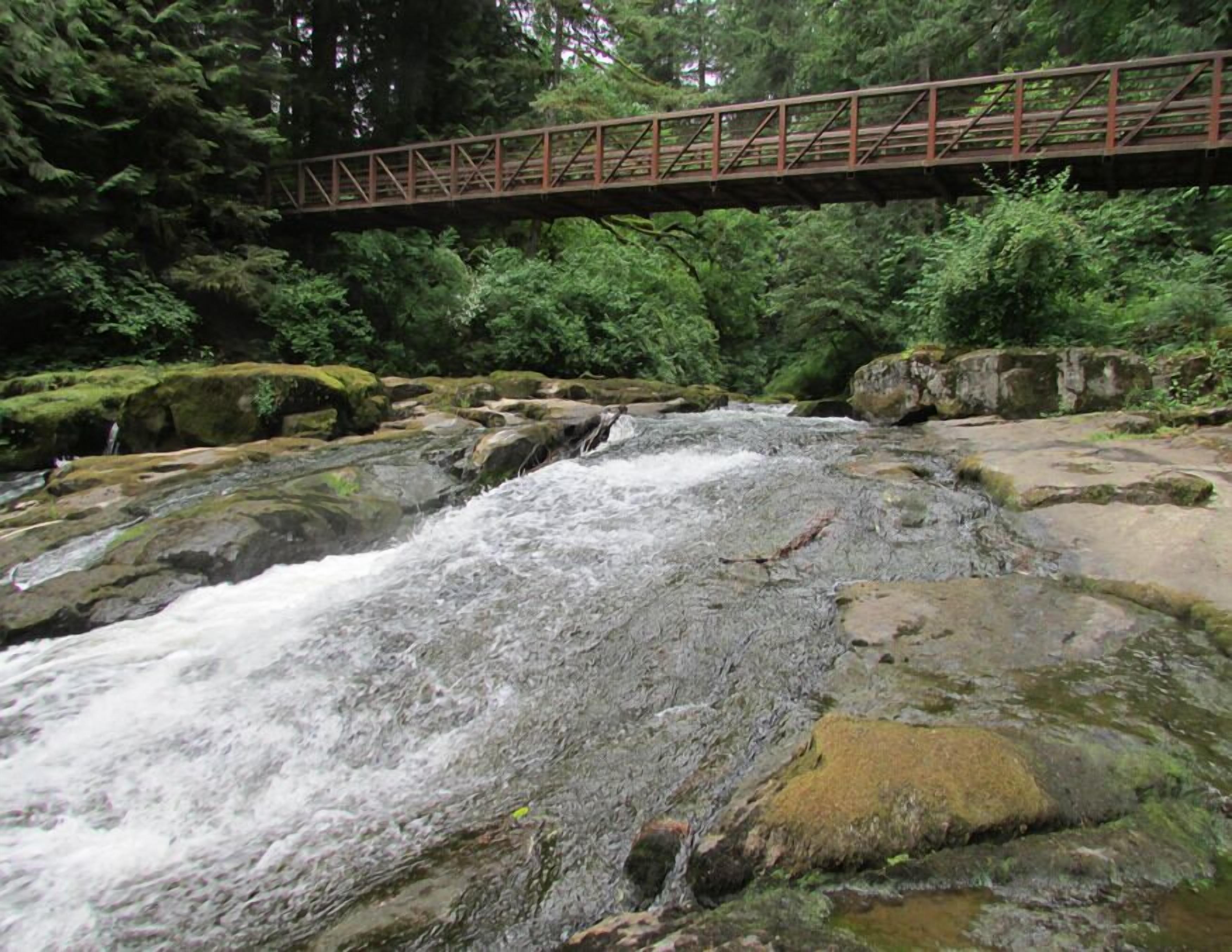 A bridge over a rocky stream in a forested area.