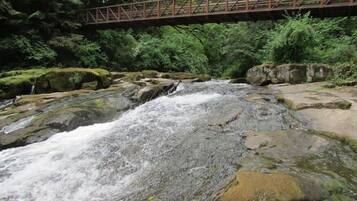 A bridge over a rocky stream in a forested area.