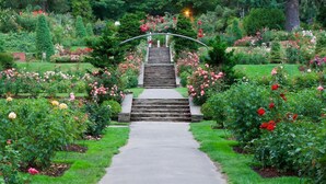 A garden pathway leading to a wooden staircase surrounded by lush greenery and flowering plants. - Camas Boutique Hotel (Camas)