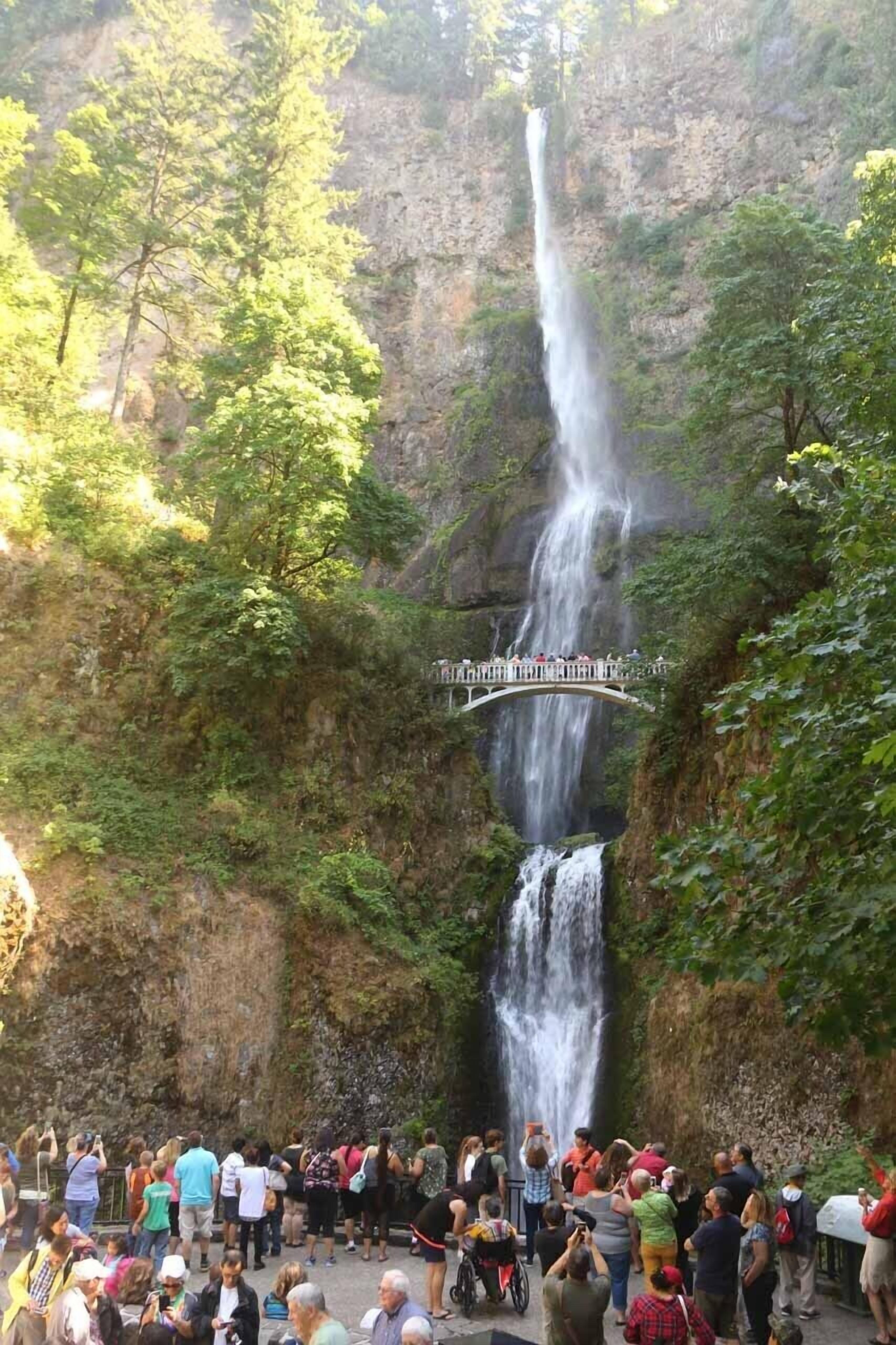 Une cascade entourée d’une végétation luxuriante et une foule de personnes.