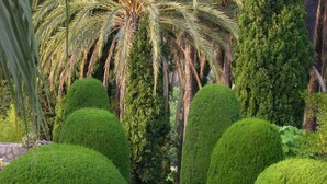 Jardí formal amb setges ben tallades, una urna blanca al centre i una vora escamotada al voltant d'una font.
