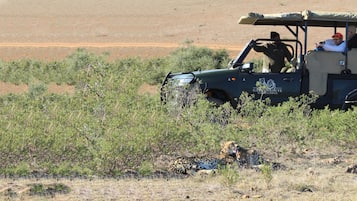 Un véhicule de safari transportant des passagers, avec un guépard en arrière-plan.
