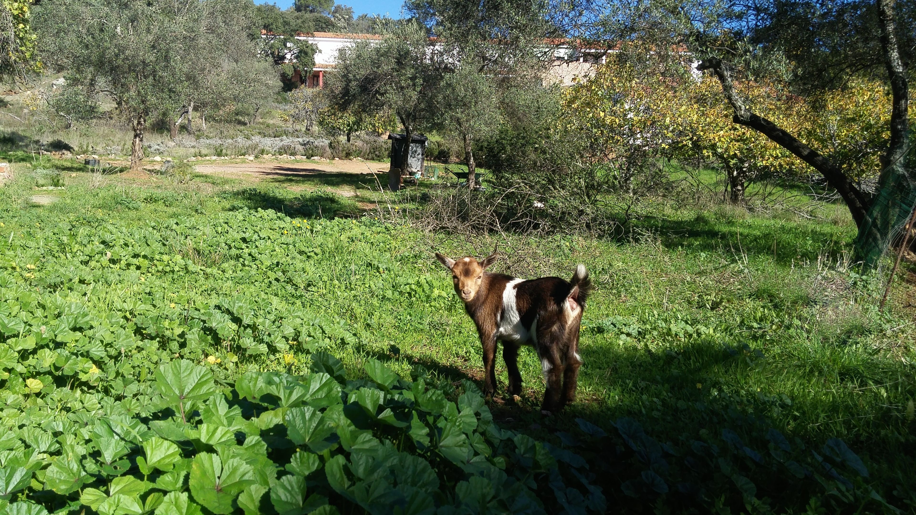 Foto - Hotel La Era de Aracena - Adults Only