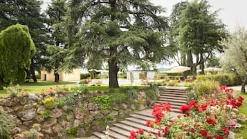 Vista desde la habitación