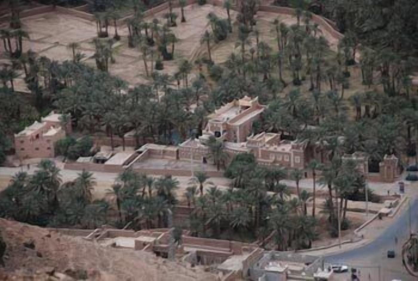 An aerial view of a densely built area with multiple structures, surrounded by palm trees.