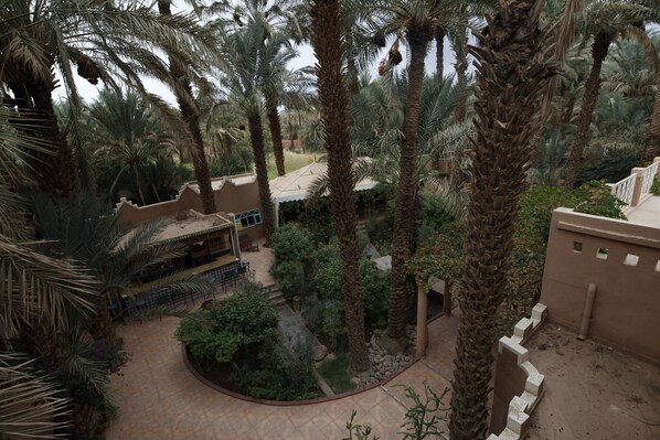 Un patio con palmeras, una zona de estar cubierta y un edificio con fachada color beige.