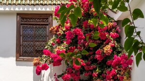 A building with white walls and a tiled roof. - Riad Alma (Marrakech)