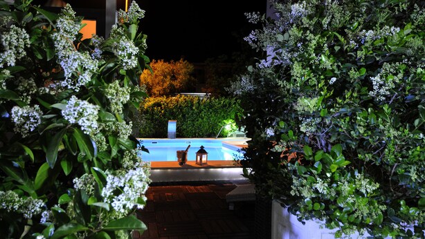 Une piscine entourée d’une végétation luxuriante et dotée d’une terrasse en bois.