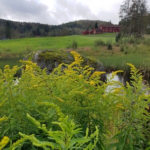 Eksteriør