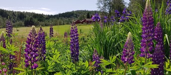 Heddan Gard Gjestegard