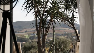 Blick auf den Garten