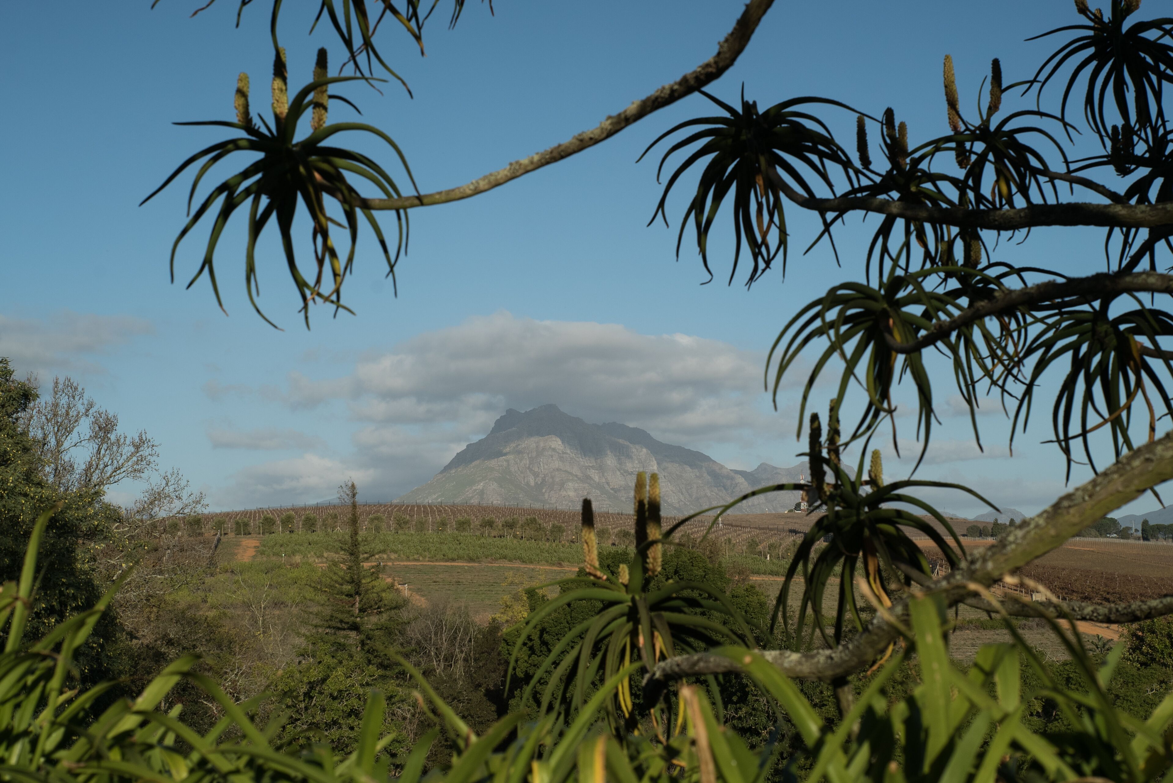 Vistas a la montaña