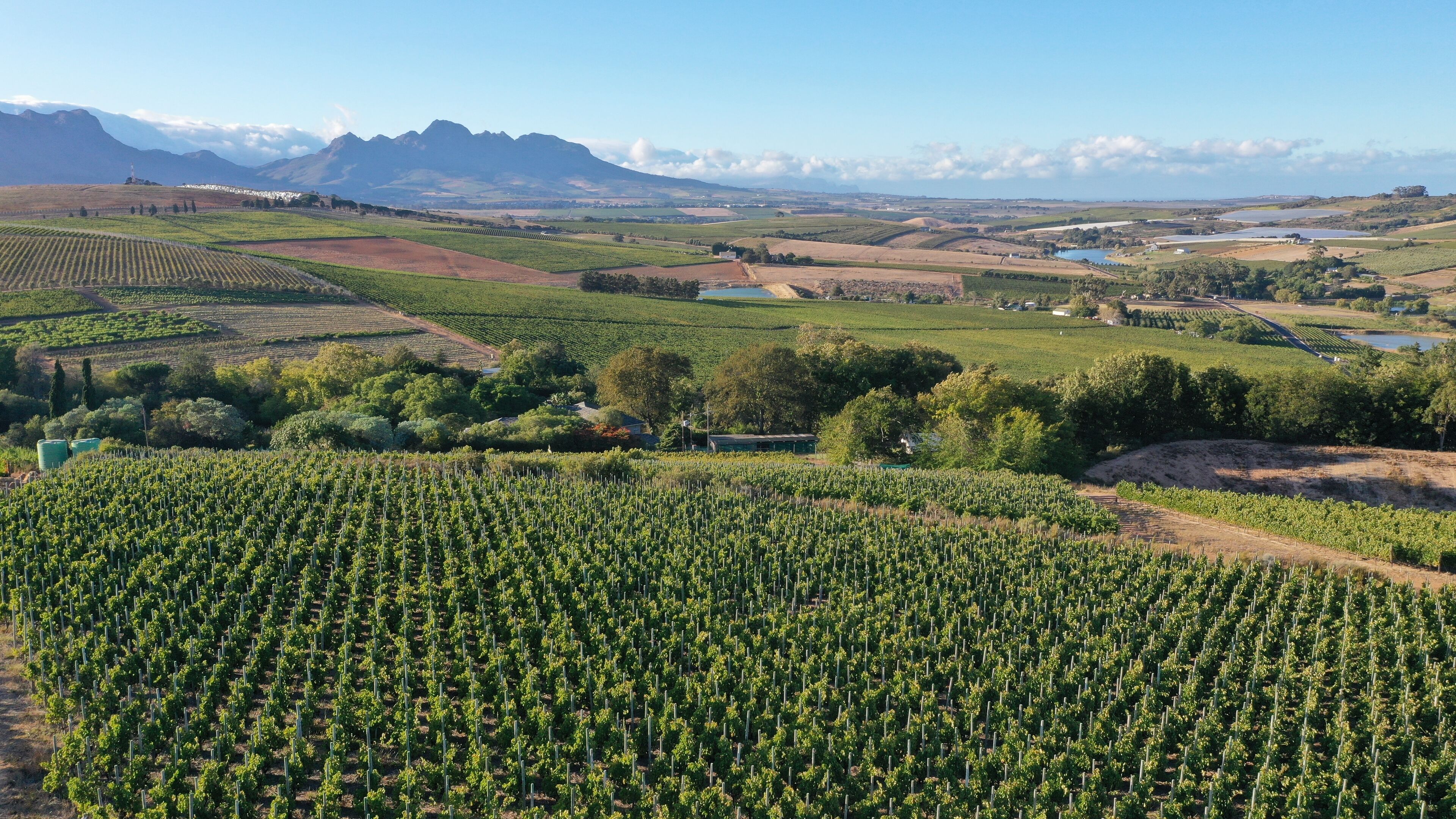 Foto - Sugarbird Manor at Protea Heights Farm