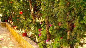 Exterior - Mirabelle Hotel (Zakynthos)