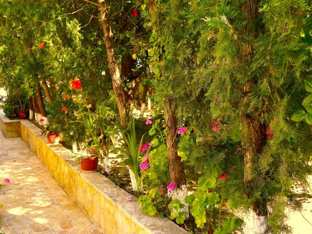 Mirabelle Hotel - view 2