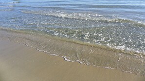 Una playa cerca