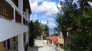 Vista desde la propiedad