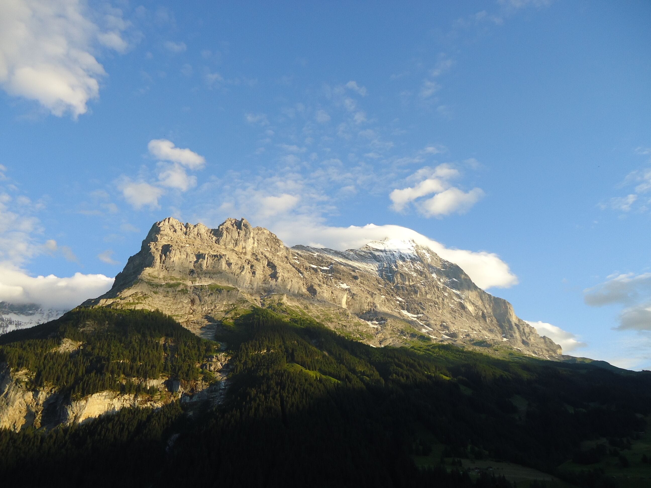 A mountain with a rocky peak and a forested base.