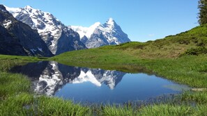 Vistas a la montaña