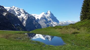 Down duvets, individually decorated, individually furnished, desk