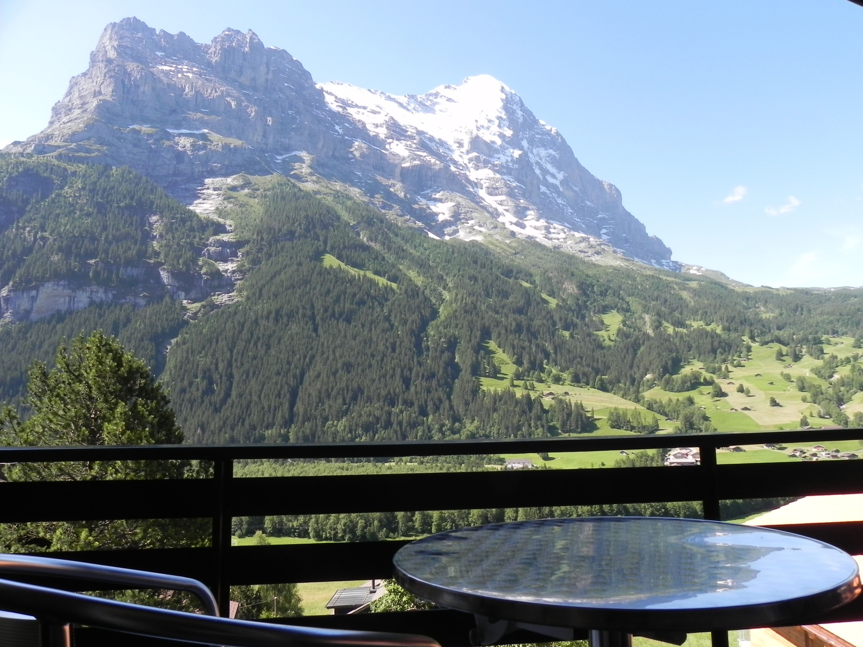 panoramic double room, balcony, mountain view (eiger) | view from room