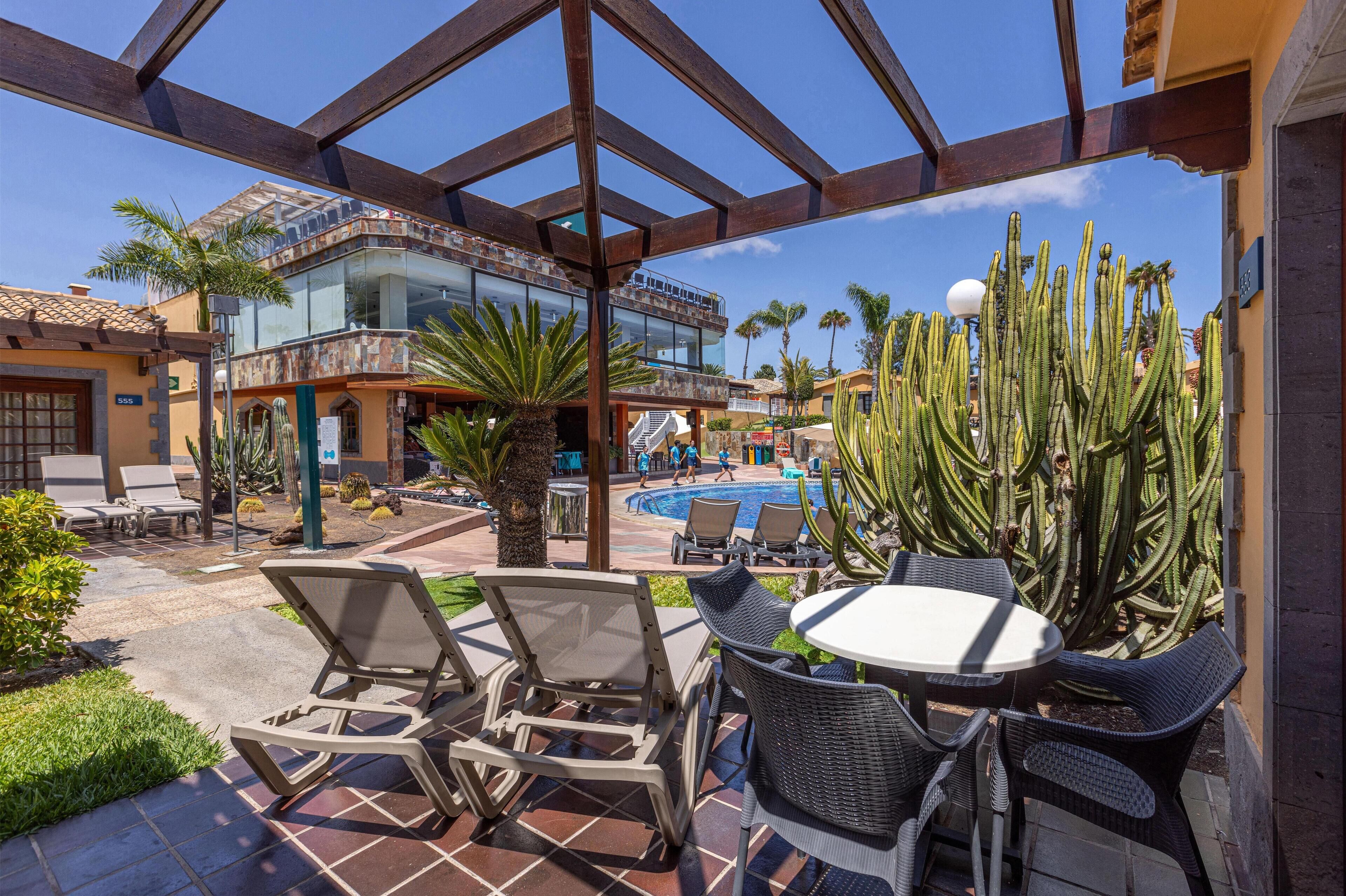 A poolside area with lounge chairs and a table, surrounded by cacti and palm trees.