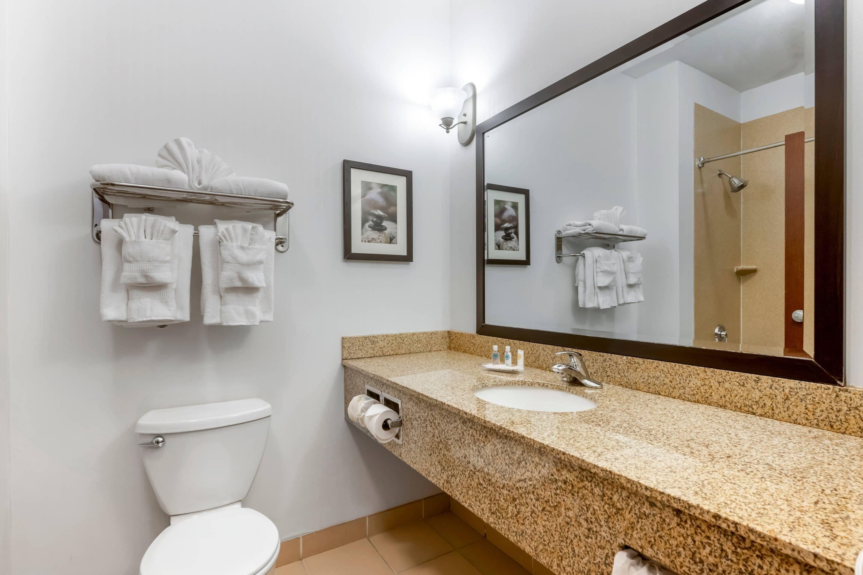 Un baño con inodoro, lavamanos, toallero, fotografías enmarcadas y un espejo grande.