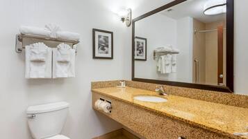 Un baño con inodoro, lavamanos, toallero y un espejo grande.