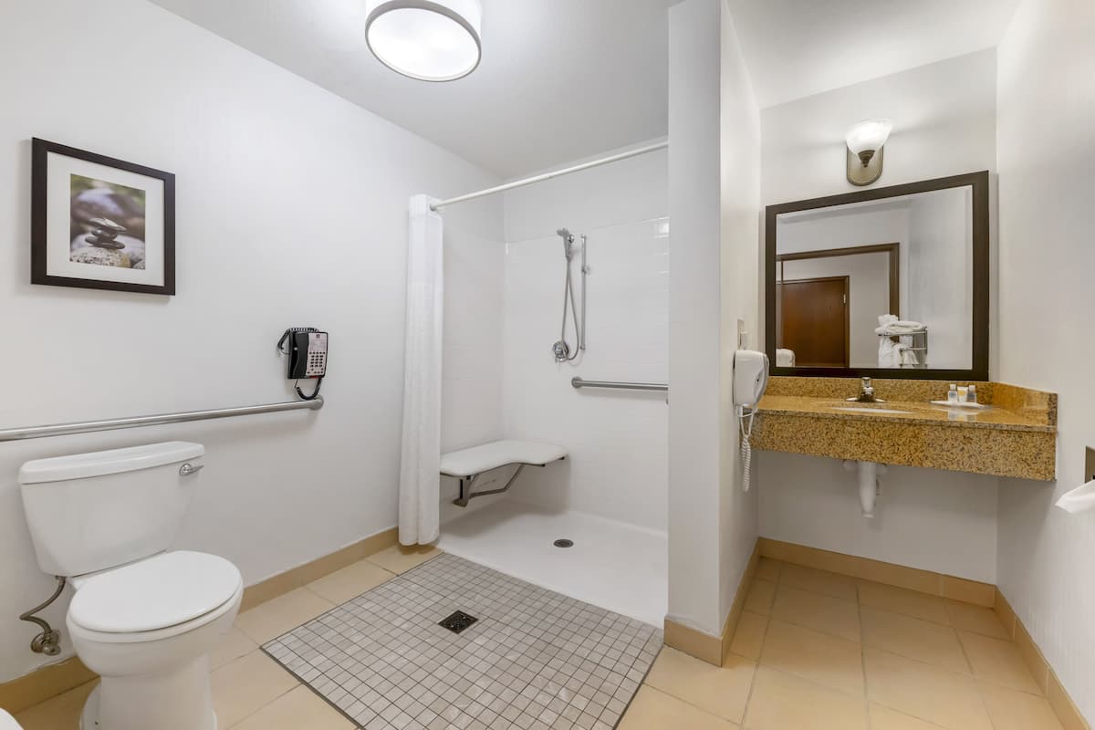 Suite, 1 trÚs grand lit et 1 canapé-lit, accessible aux personnes à mobilité réduite, non-fumeur | Salle de bain