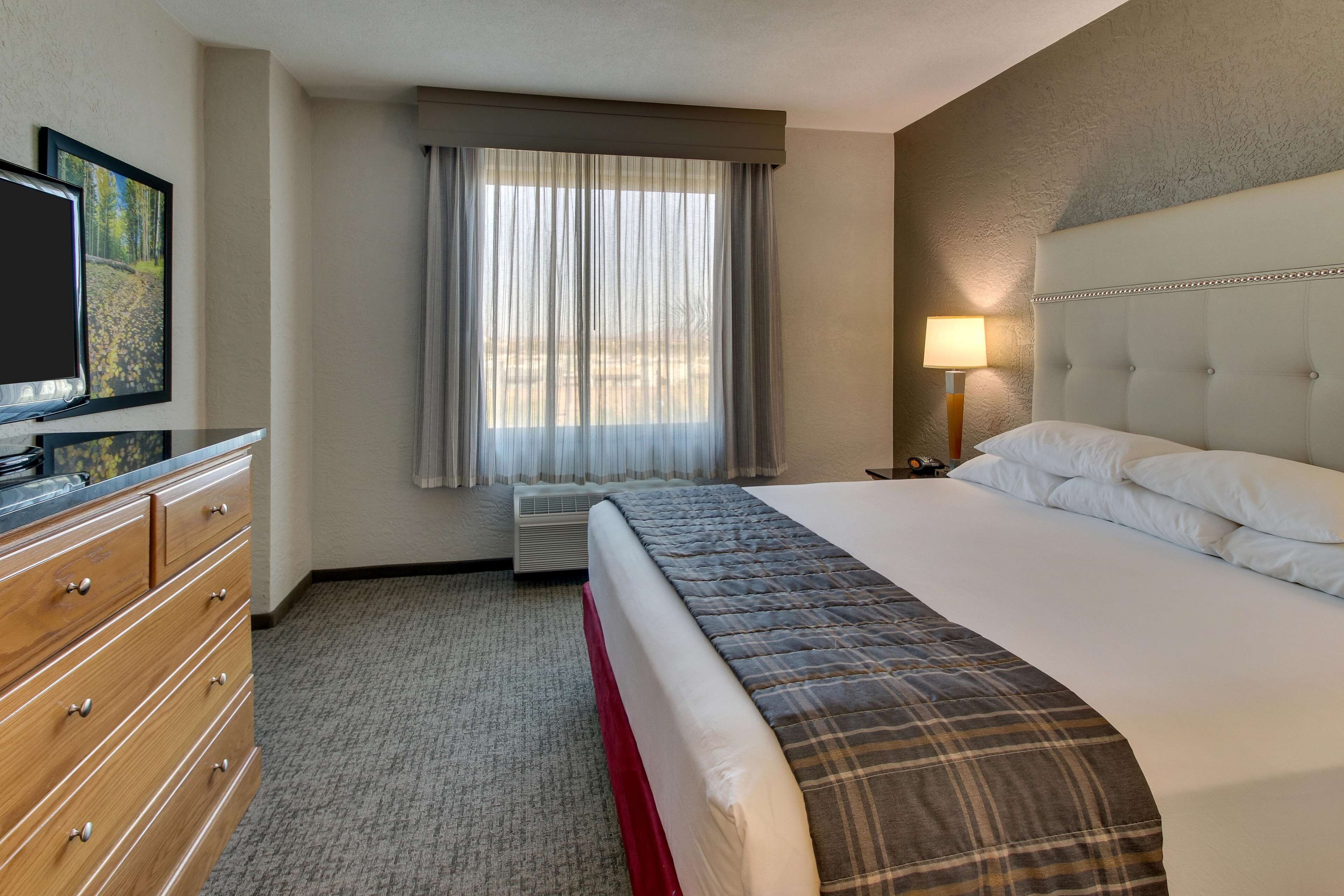 A hotel room with a bed, a television, a dresser, a window with curtains, and a lamp.