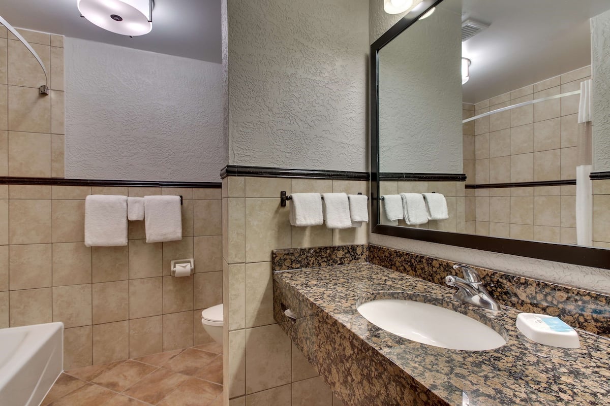 combined shower/bathtub, free toiletries, hair dryer, towels