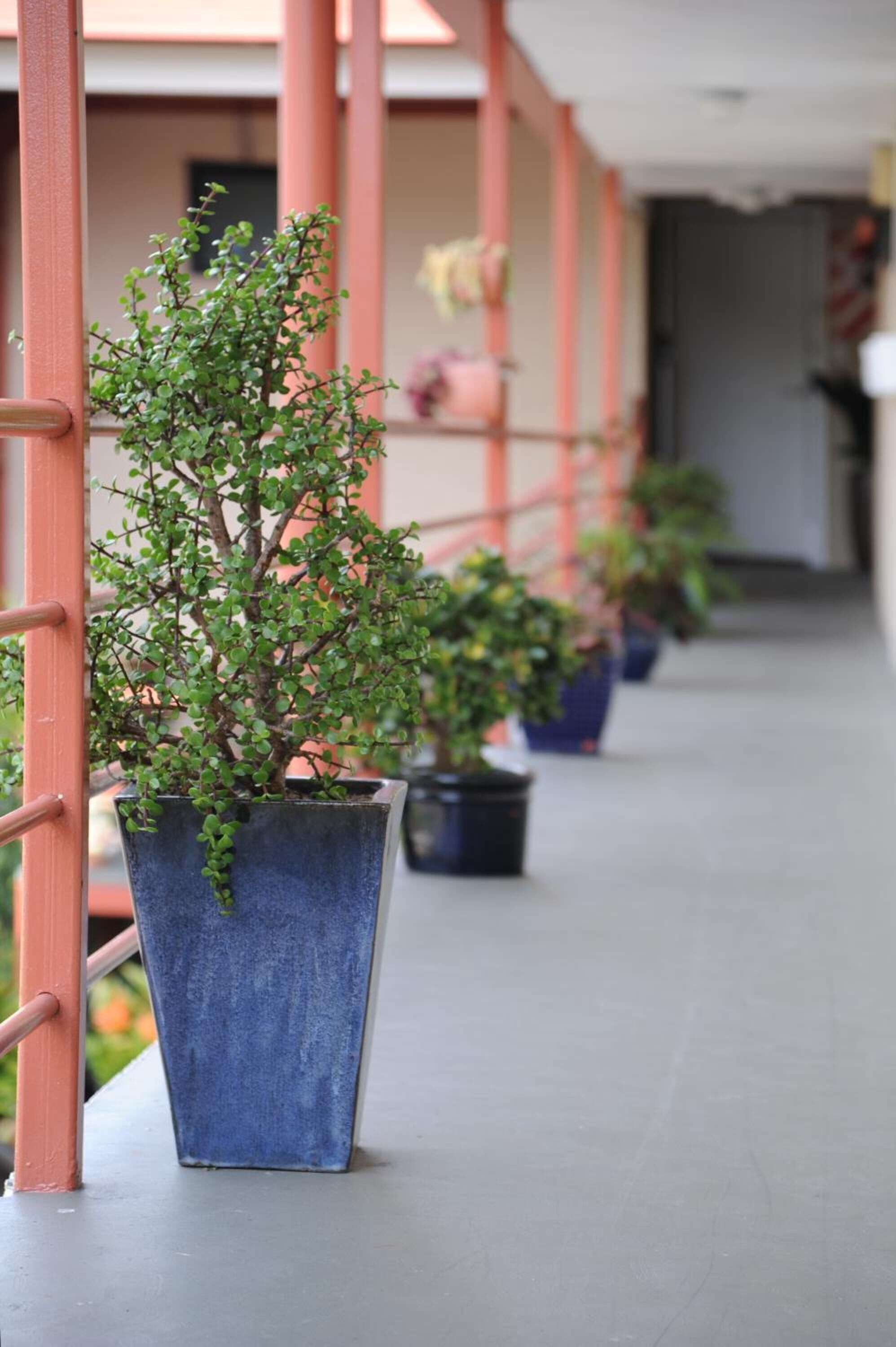 Photo - Ascot Epsom Motel