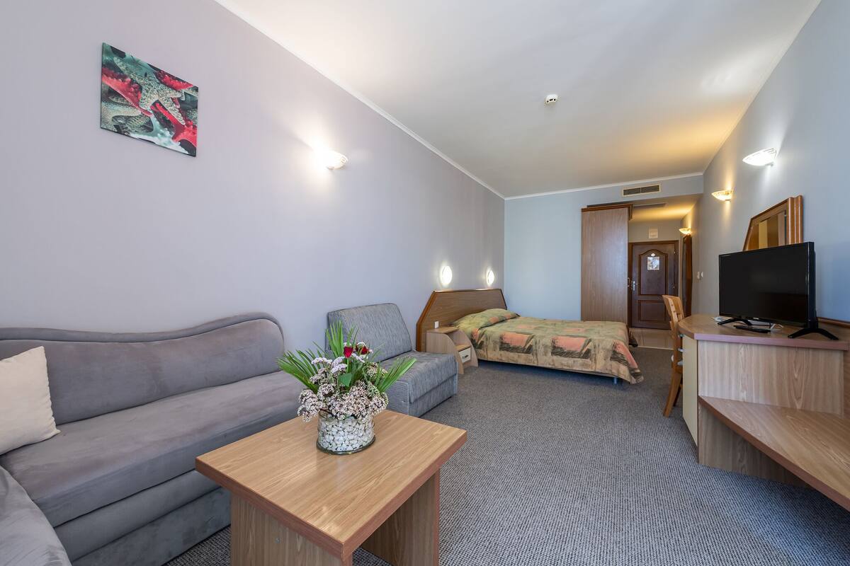 Une chambre d’hôtel avec un canapé, une petite table sur laquelle est posé un vase de fleurs, un lit recouvert d’une couverture colorée, une télévision et un bureau en bois.