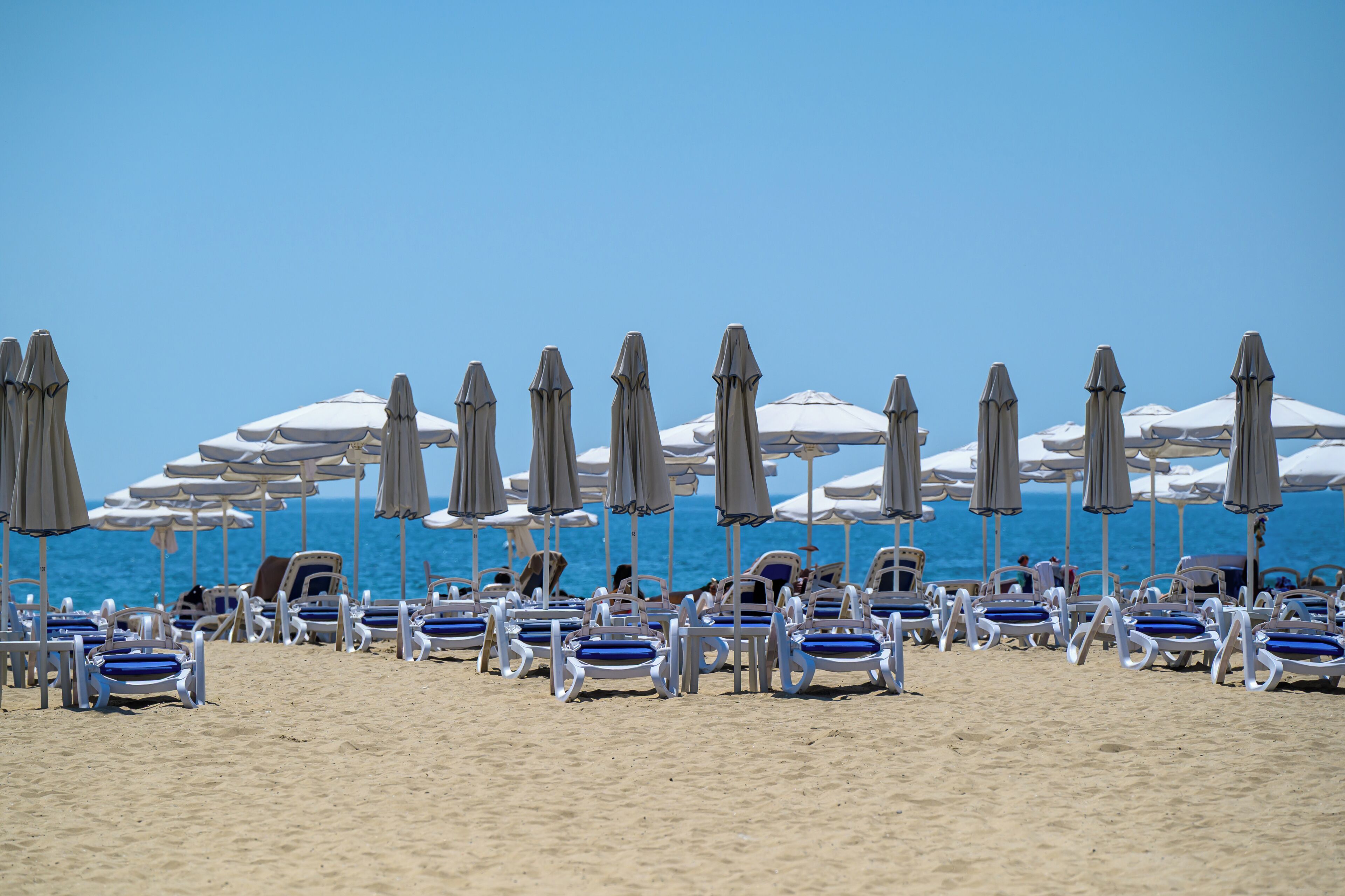 A beach with rows of sun loungers and umbrellas, a clear sky, and the ocean in the background.