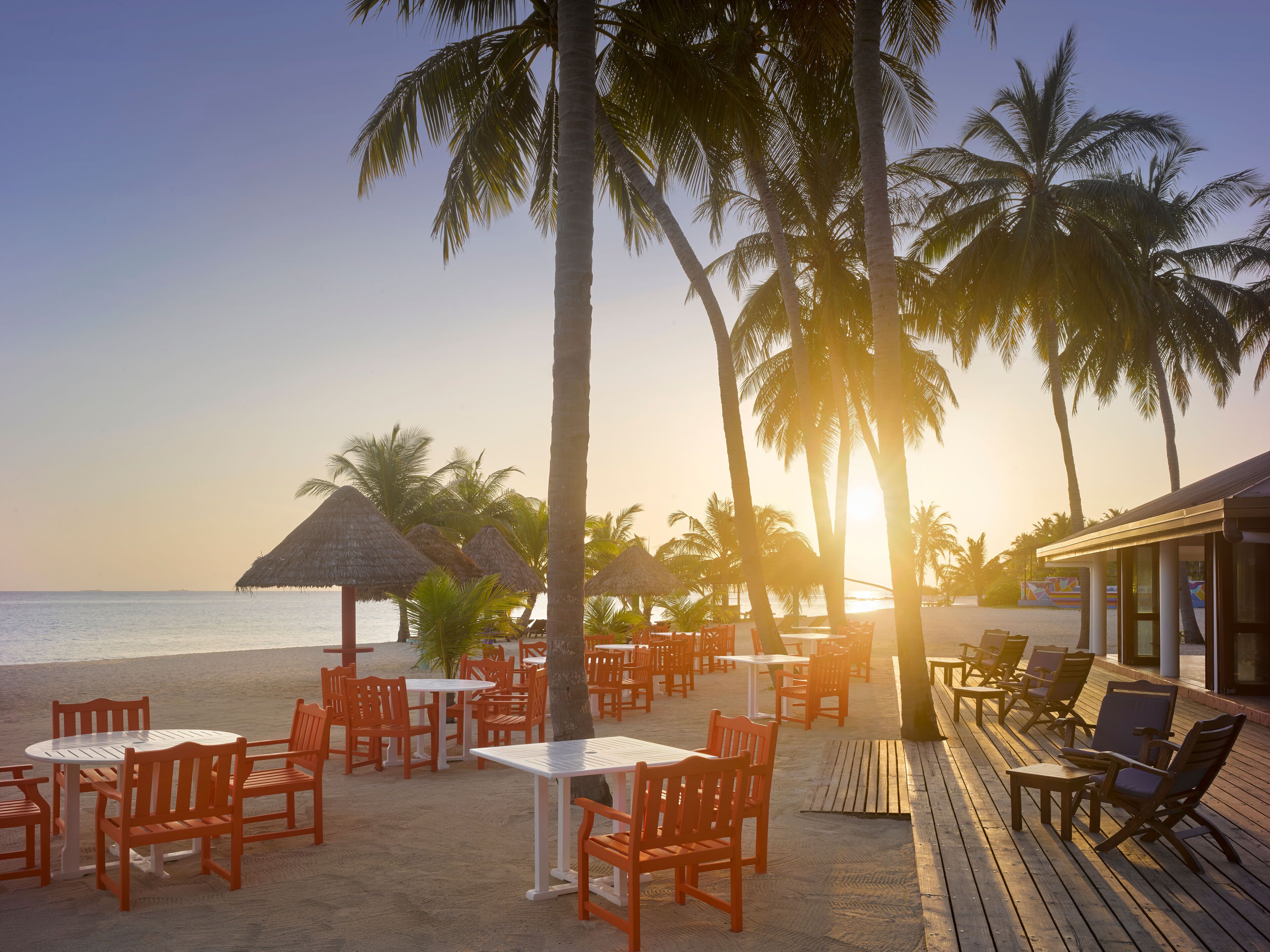 Un restaurante frente a la playa con terraza, palmeras y vistas al océano.