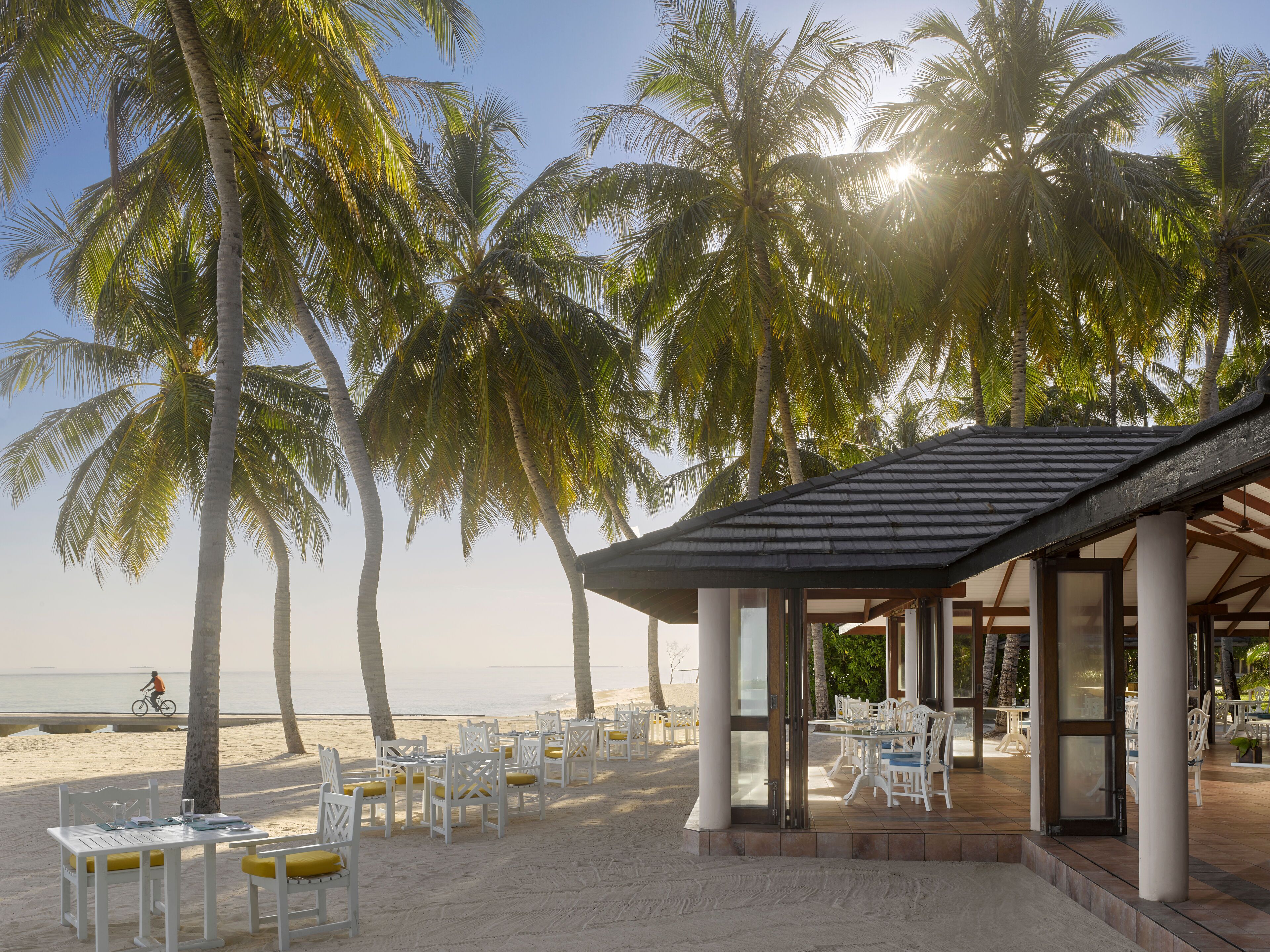 A beachside restaurant with outdoor seating, palm trees, and a view of the ocean.