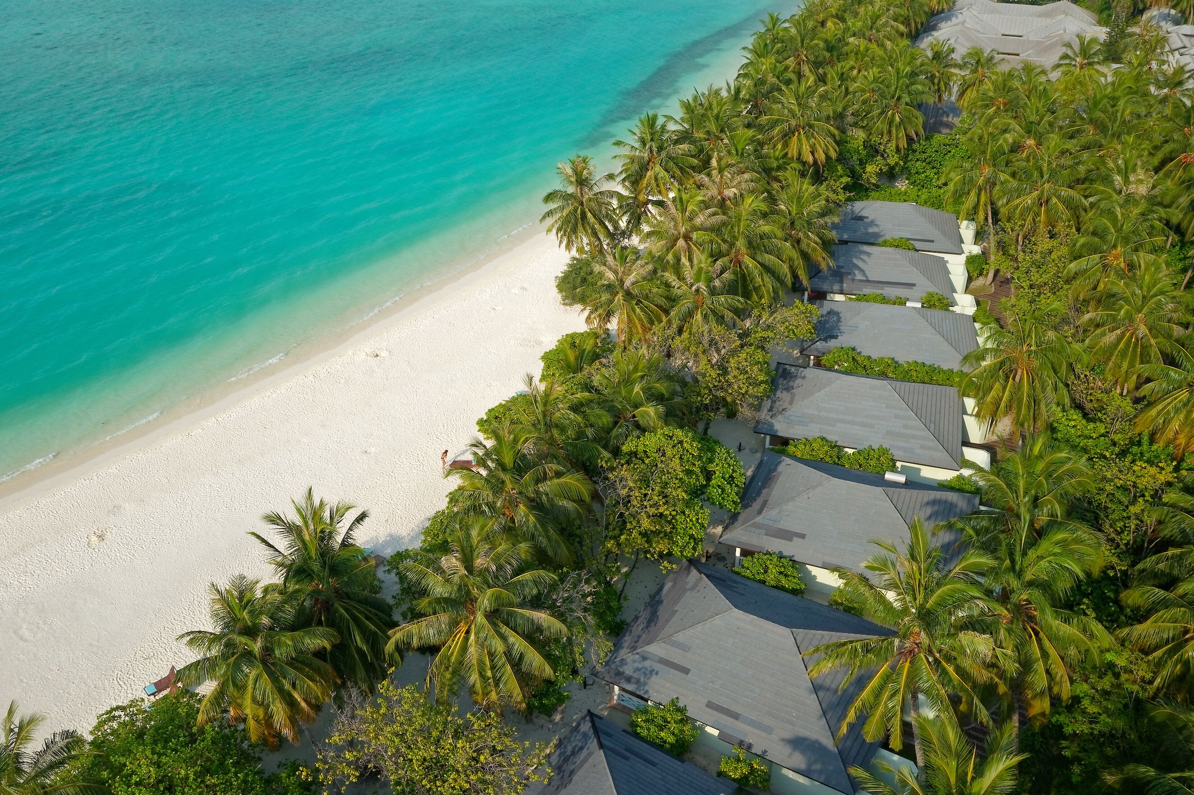 Vista aérea de un resort frente a la playa con varias cabañas, una playa de arena y palmeras.