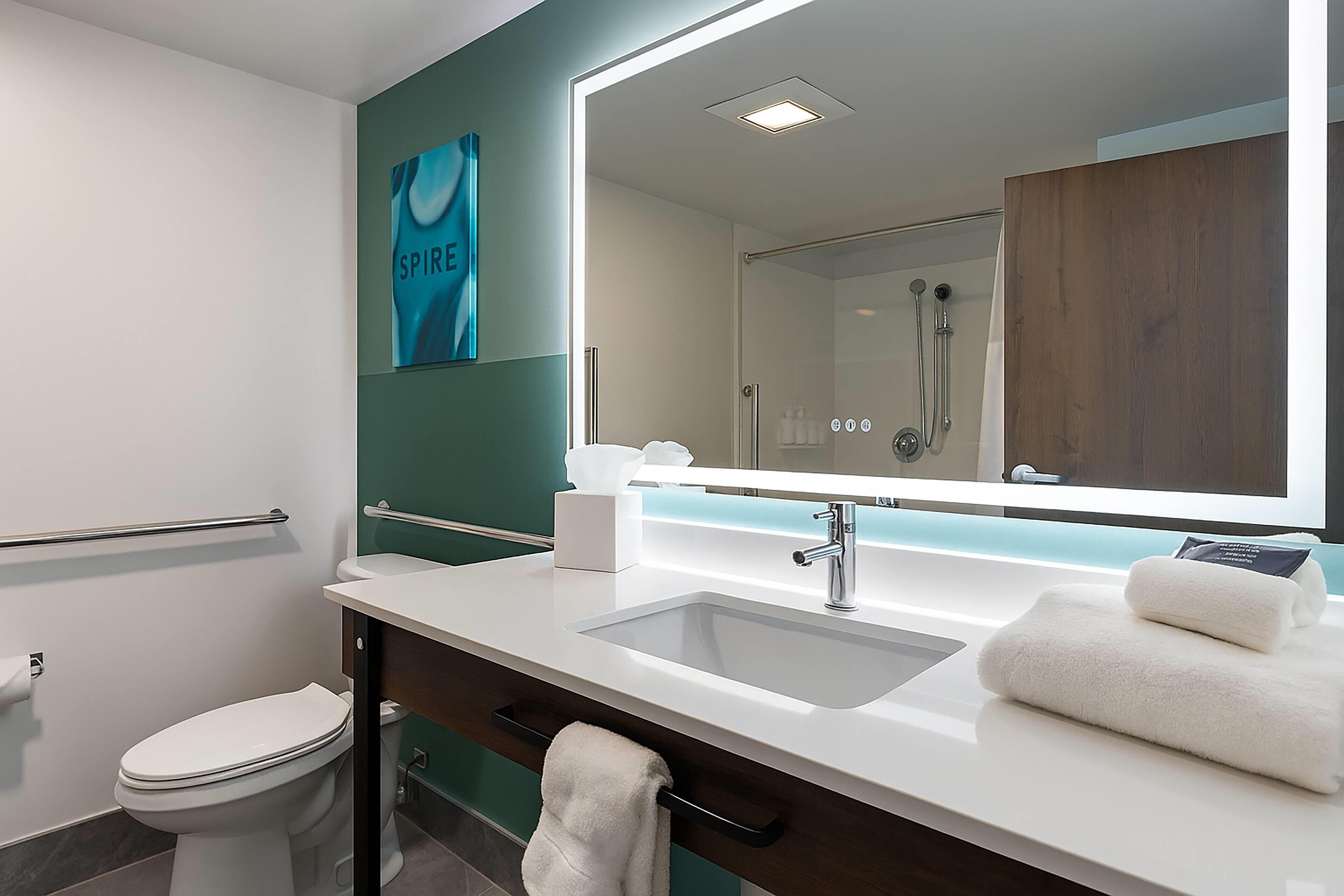 Room, 1 King Bed, Accessible, Non Smoking (Roll-in Shower) | Bathroom