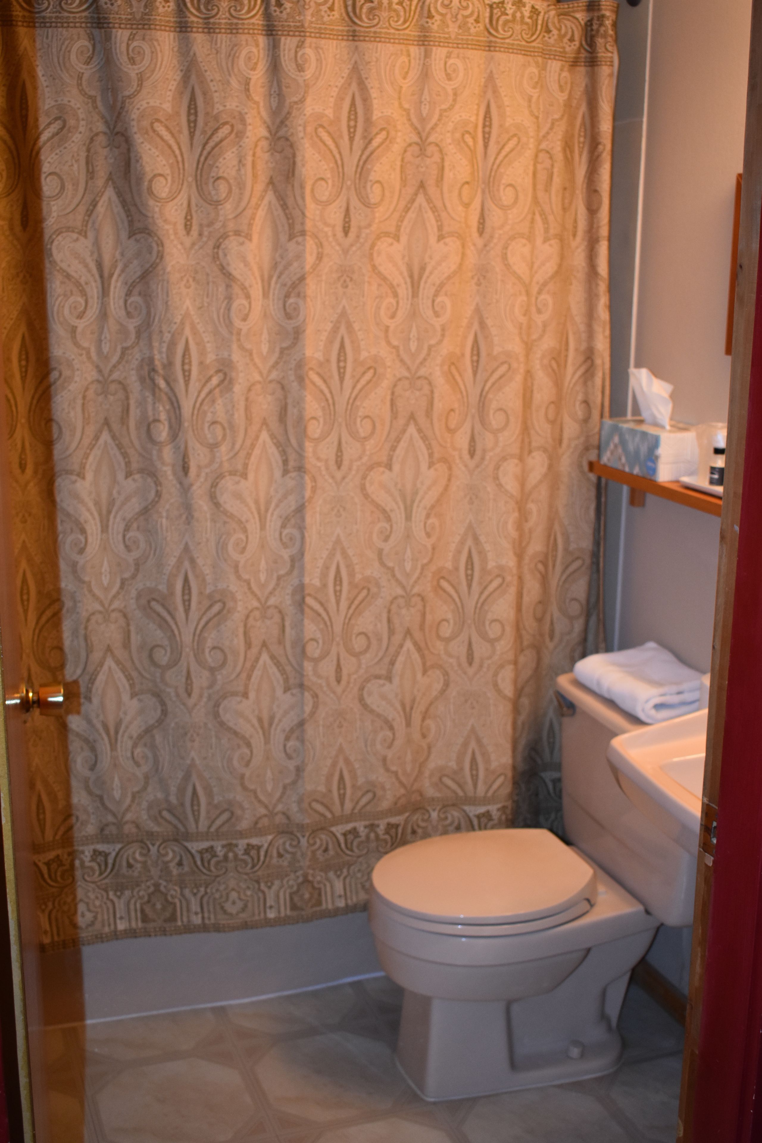 A bathroom with a patterned shower curtain, a toilet, and a shelf with toiletries.