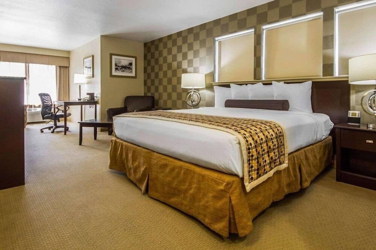 Une chambre d’hôtel avec un grand lit, un bureau, une chaise et une fenêtre avec des stores à carreaux.