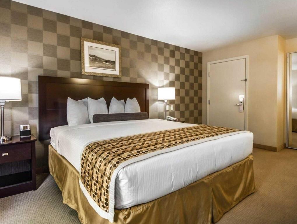 Egyptian cotton sheets, pillow-top beds, in-room safe, desk
